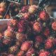 Hamilelikte Rambutan Meyvesi Yemek; Faydaları ve Zararları